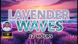 Relaxing Lavender Waves for Deep Sleep | 12 Hours | BLACK SCREEN | Tinnitus & Anxiety Relief