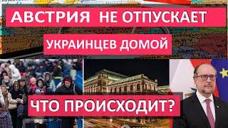 Почему АВСТРИЯ НЕ ОТПУСКАЕТ украинцев. СКОЛЬКО ПОЛУЧАЮТ беженцы в Австрии, КАК ОФОРМИТЬ защиту