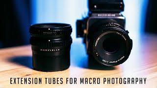 Shooting Macro With The Hasselblad 500cm & Extension Tubes