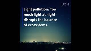 Bright Nights: Light Pollution | UZH Spotlight