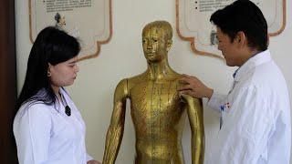 GLOBALink | Chinese-Uzbek center for traditional medicine deepens bilateral relations