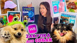 ЗАКУПАЮСЬ МИЛЫМИ вещичками для СОБАЧЕК на WILDBERRIES 