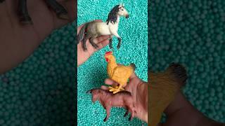 wow #animals