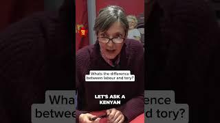 What's the difference between labour and tory?