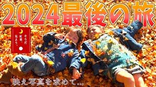 【願い叶う】ノエルがどうしても行きたかった紅葉旅！映え写真を求め秩父へ