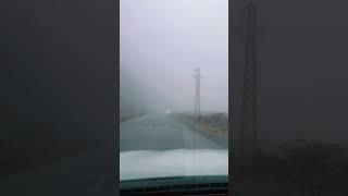 Road trip in foggy weather #travel #nature  #shorts #automobile