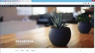 Intalling Wordpress Theme For system development
