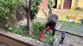 Customers moved to home that has not been cleaned in 2 years
