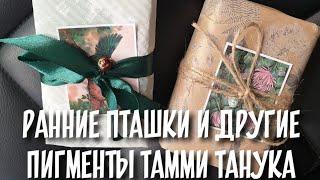 TAMMY TANUKA|Тамми Танука набор "ранние пташки" и другие пигменты #РАСПАКОВКА #свотчи и цены