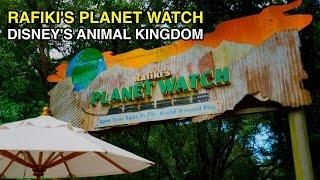 [4K] Rafiki's Planet Watch - Conservation Exhibits : Animal Kingdom (Orlando, FL)