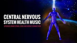 Central Nervous System Health Music | Upgrade Brain Spinal Cord and Nerves Connection | Heal Nerves