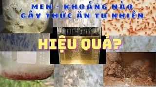 LÀM SAO ĐỂ TẠO THỨC ĂN TỰ NHIÊN TRONG AO NUÔI TÔM? CÁCH CHỌN LỰA VI SINH, KHOÁNG GÂY TATN HIỆU QUẢ?