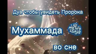 Дуа чтобы увидеть  во сне Пророка Мухаммада ﷺ #иншааллах #алхамдулиллах