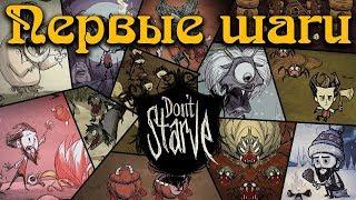 Гайд по Don't Starve #1 Первые шаги