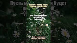 Молитва за свет в темные дни #тьма #надежда #Богрядом