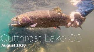 Cutthroat Lake - August 2018 Colorado - Duranglers Fly Fishing