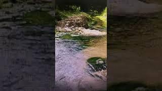 Bir Nehirin Akışı - Çağatay Kılıç - Instrumental Music Composer - Piano