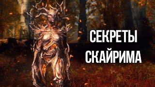 Skyrim Секреты и Интересные моменты 5 части TES