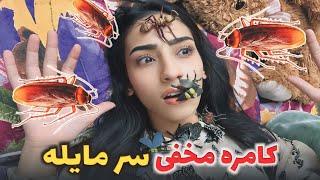 کامره مخفی سر مایلهو گریه کردن مایله از ترس زیاد