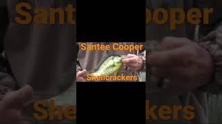 ShellCracker City on the Santee Cooper Lakes  Fishing is firing up