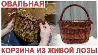 ОВАЛЬНАЯ КОРЗИНА ИЗ ЖИВОЙ ЛОЗЫ #лозоплетение