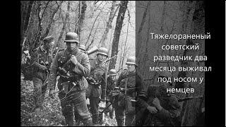 Тяжелораненый советский разведчик два месяца выживал в болоте, в тылу у немцев.