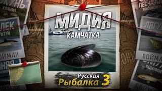 "Мутант" Мидия. Побережье Камчатки. Русская Рыбалка 3.