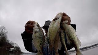 Simple Technique To Catch Crappie