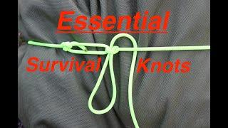 Essential Knots!