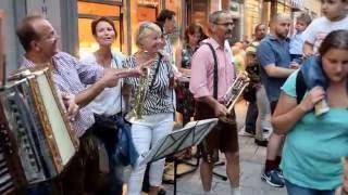 Kleiner Harmonikaspieler-Rucksackmusikanten-Bad Kissingen