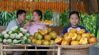 Many kinds of wonderful fruits, Harvesting custard apples, Cooking, Family Living in the Mountains