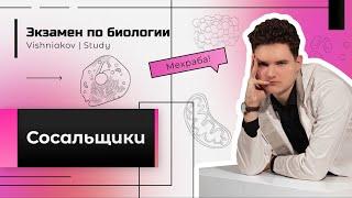 Экзамен по биологии | СОСАЛЬЩИКИ