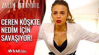 Ceren Nedim'i Savunuyor, Siz Göreceksiniz! - Zalim İstanbul 28. Bölüm