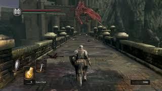 The Hellkite Dragon and Oscar of Astora (Dark Souls Remastered with NPC Class Mod)