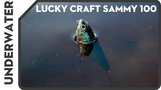 Lucky Craft SAMMY 100