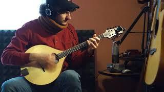 Andrea Verga _ "Donegal lass jig" _ Domeneghini Octave Mandolin