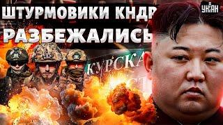 Над армией Кима ржет весь мир! Лучшие штурмовики КНДР разбежались при виде ВСУ. Расстрел кадыровцев