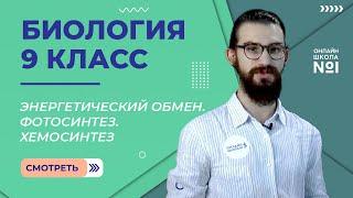 Энергетический обмен. Фотосинтез. Хемосинтез. Видеоурок 12. Биология 9 класс