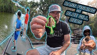 TRICKS WITH JIGS!!  Blue Gill Bed Bass Fishing!