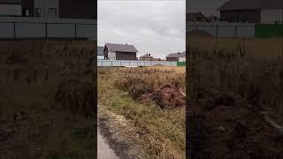 Самая главная команда!