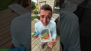 WHEN BUYING A PET GOES WRONG