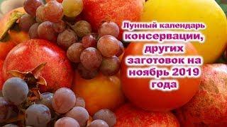 Лунный календарь консервации, других заготовок на  ноябрь 2019 года Когда лучше консервировать, суши