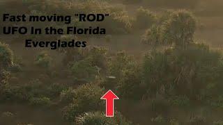 Excellent Drone capture of a Skyfish Rod UFO!  Everglades South Florida - Feb 28, 2020