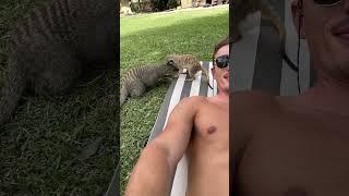POV: You are sunbathing in Namibia! 