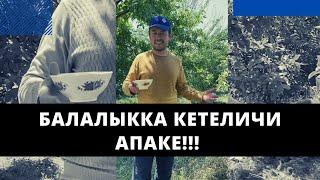 Балалыкка кетеличи АПАКЕ!!! | Нуржигит Кадырбеков