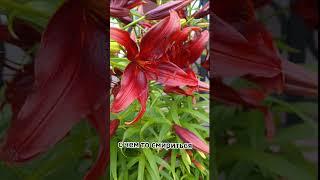 #гороскоп #предсказание #приметы #30августа #астропрогнознакаждыйдень