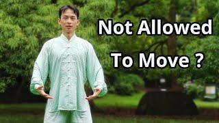 2.20 How to do right movements in the Zhanzhuang exercise: the mystery of Zhanzhuang.