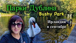 ИрландияДублин/Bushy Park/Лучший Парк Дублина/Погода в Сентябре