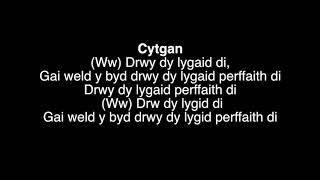 Drwy dy lygid di gyda llais a geiriau