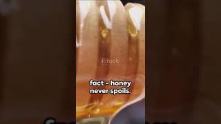 Quick Facts and Quotes to Inspire #shorts #facts #quotes #inspirational